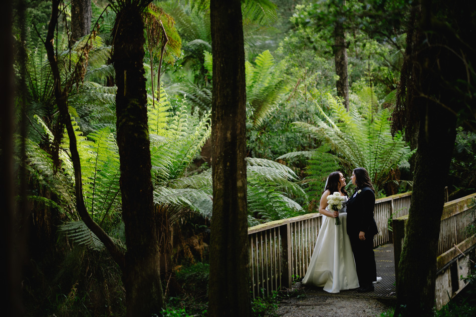 82324 Lyrebird Falls 42