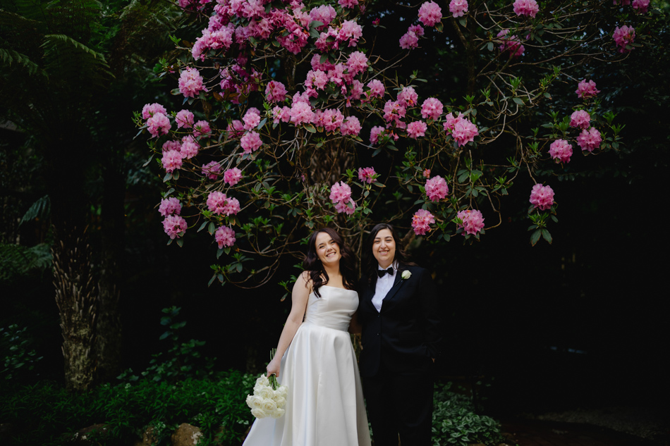 82324 Lyrebird Falls 57