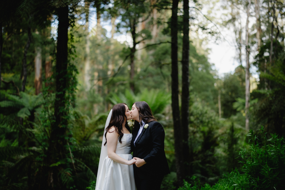 82324 Lyrebird Falls 61