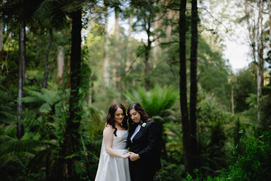 82324 Lyrebird Falls 68