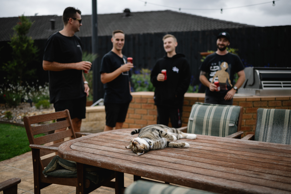 82773 Lyrebird Falls 11