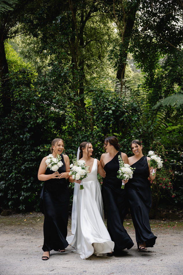 82773 Lyrebird Falls 2