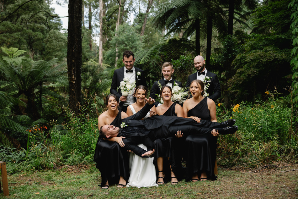 82773 Lyrebird Falls 48