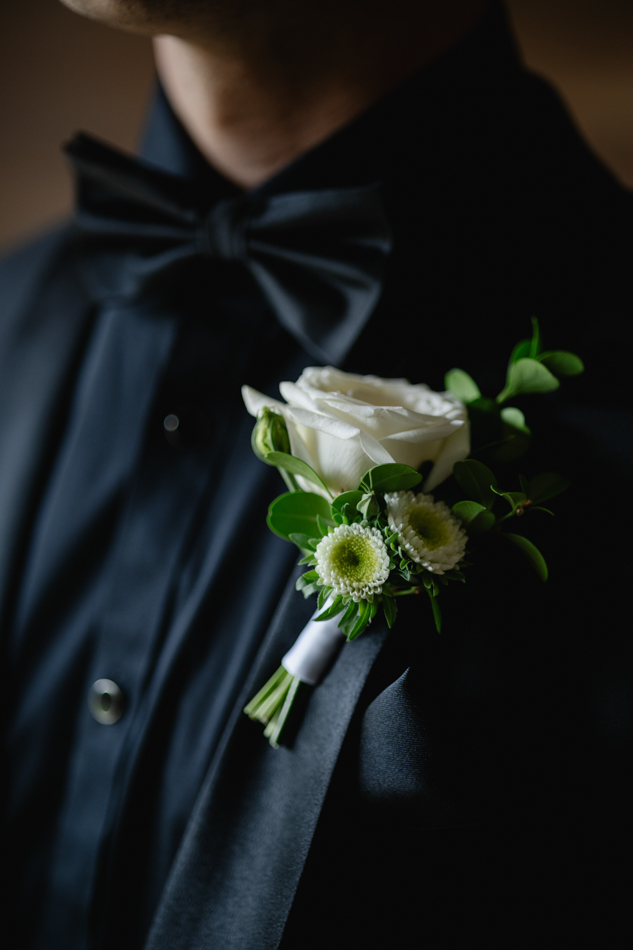 82773 Lyrebird Falls 64