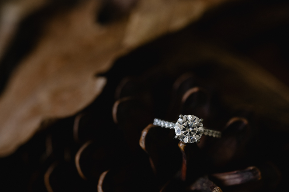 82773 Lyrebird Falls 9