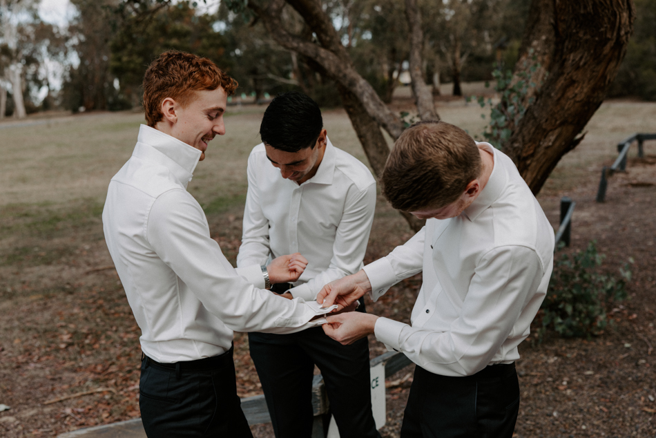 82892 Vines of the Yarra Valley 0099