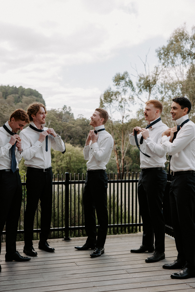 82892 Vines of the Yarra Valley 0100