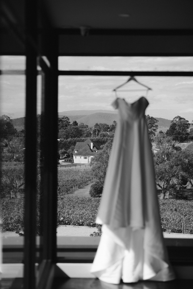 82892 Vines of the Yarra Valley 0121