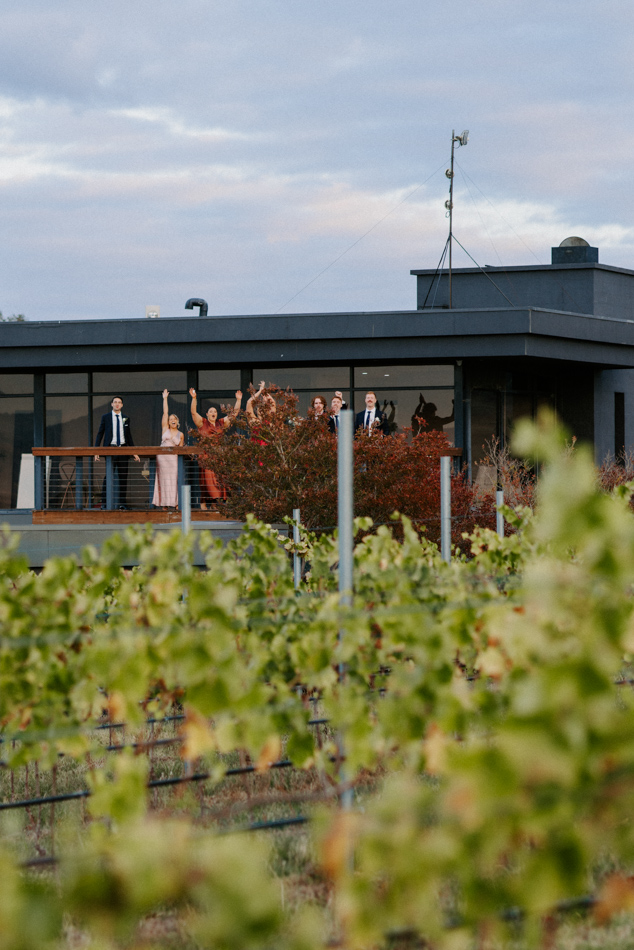 82892 Vines of the Yarra Valley 0238