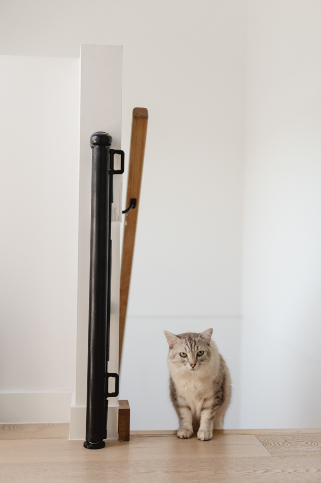 82969 Rupert on Rupert 0096