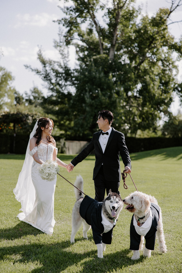 82991 Stones of the Yarra Valley 0128