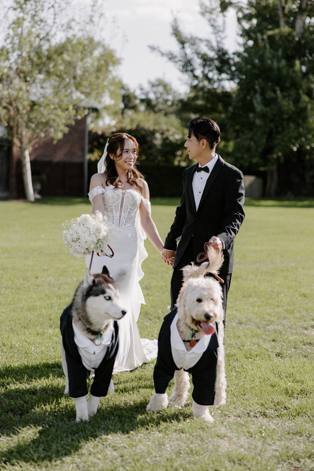 82991 Stones of the Yarra Valley 0129