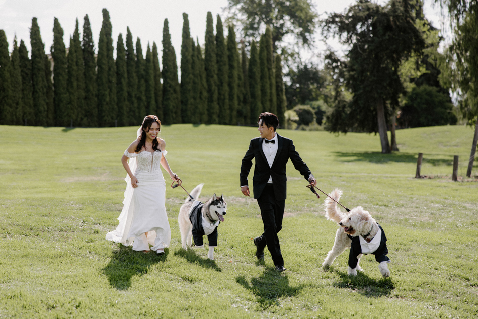 82991 Stones of the Yarra Valley 0130