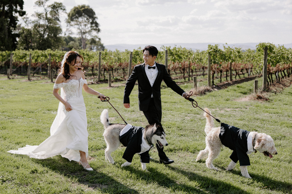 82991 Stones of the Yarra Valley 0131