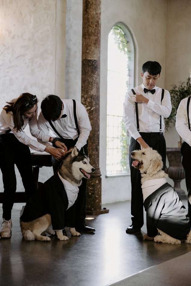 82991 Stones of the Yarra Valley 0157