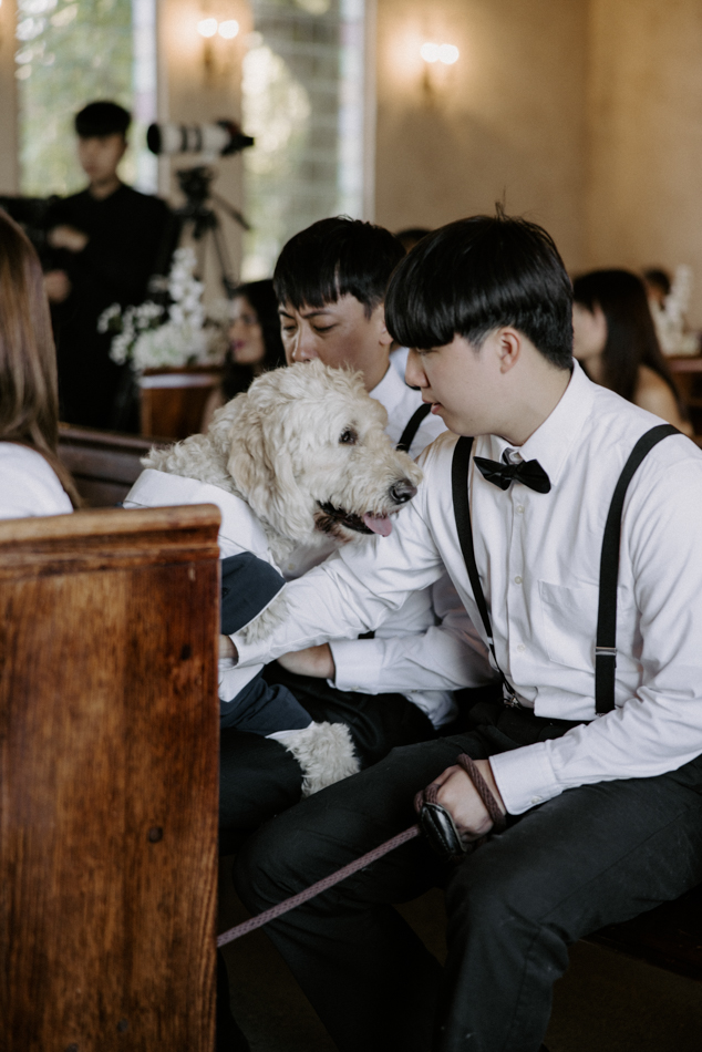 82991 Stones of the Yarra Valley 0160