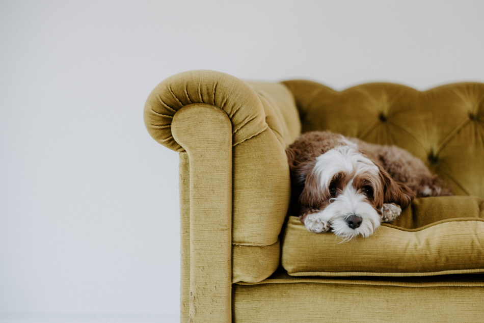 83085 Pier Farm 0131