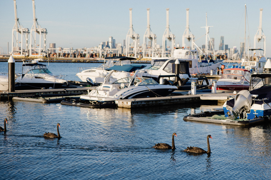 83085 Pier Farm 0218