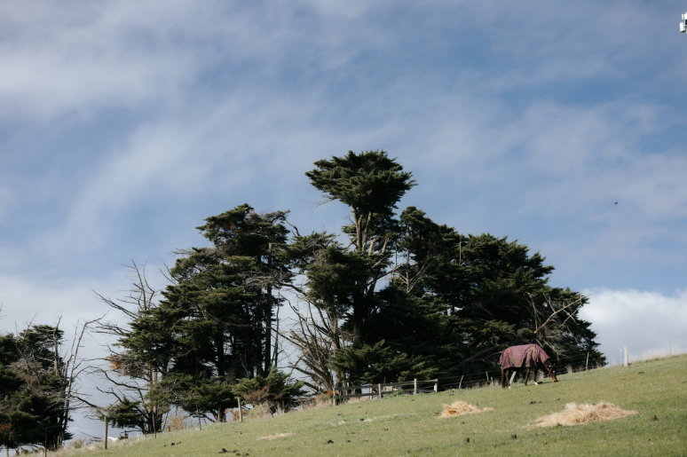 83158 Kodie & Lachy (19)