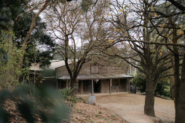 83158 Kodie & Lachy (41)