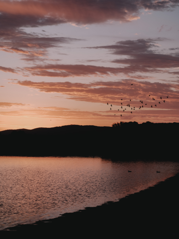 83110 Zonzos Estate (65)