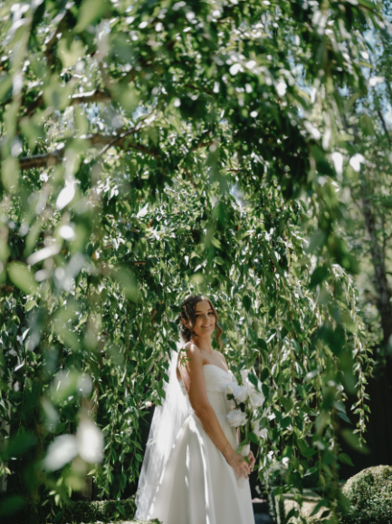 83184 Lavandula (12)