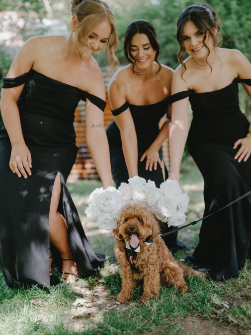 83184 Lavandula (21)