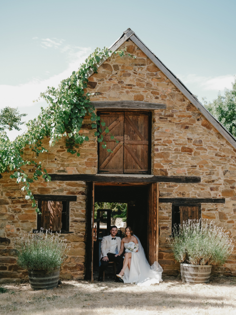 83184 Lavandula (25)