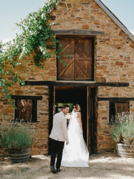 83184 Lavandula (31)