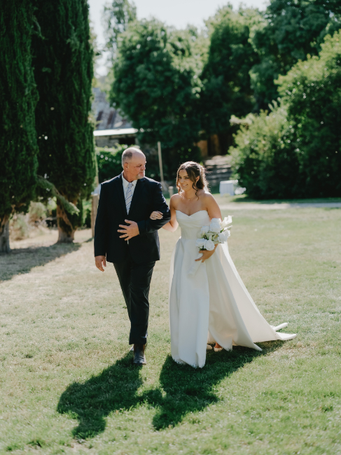 83184 Lavandula (34)