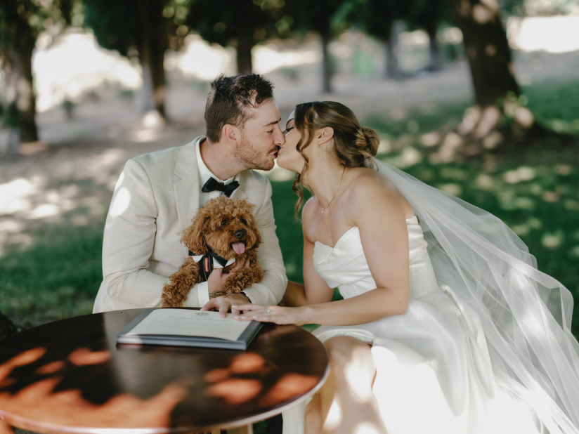 83184 Lavandula (40)