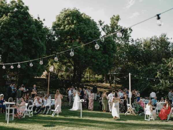 83184 Lavandula (43)