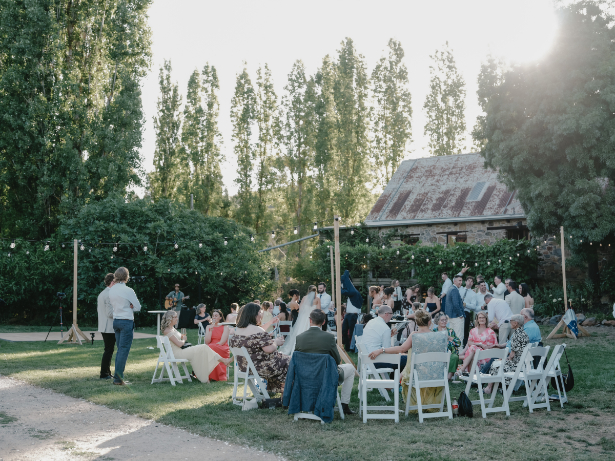 83184 Lavandula (48)