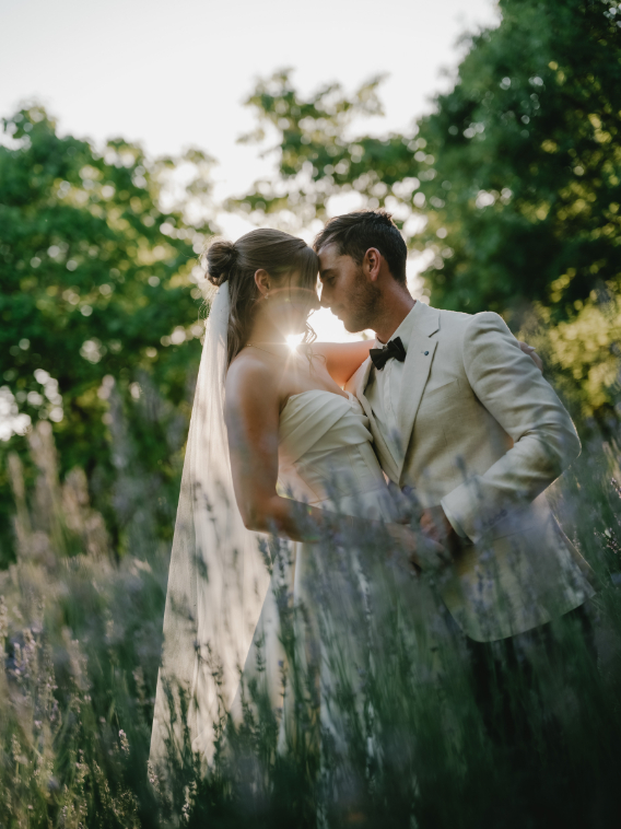 83184 Lavandula (55)