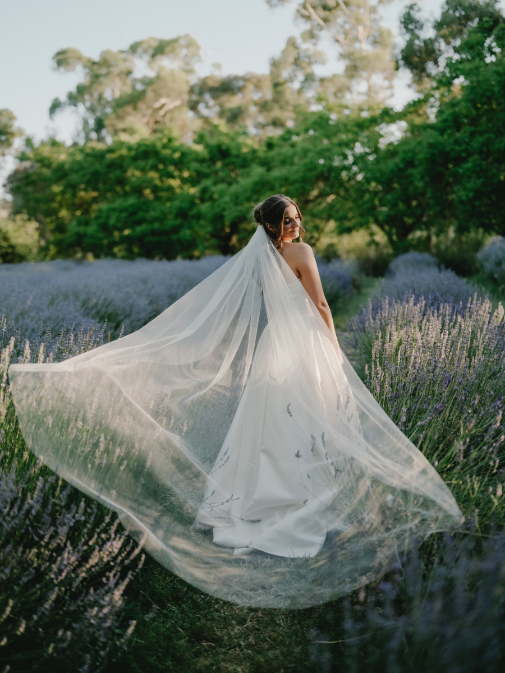 83184 Lavandula (56)