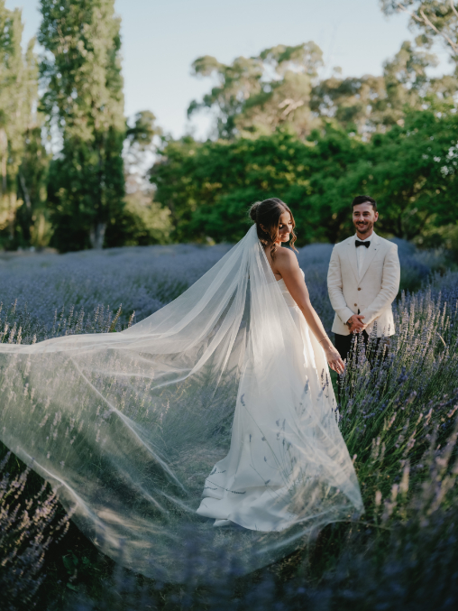 83184 Lavandula (57)