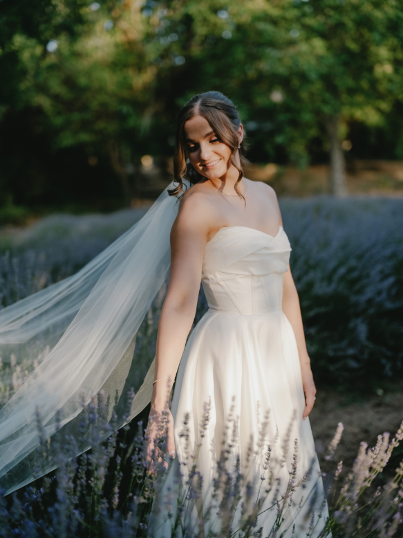 83184 Lavandula (58)