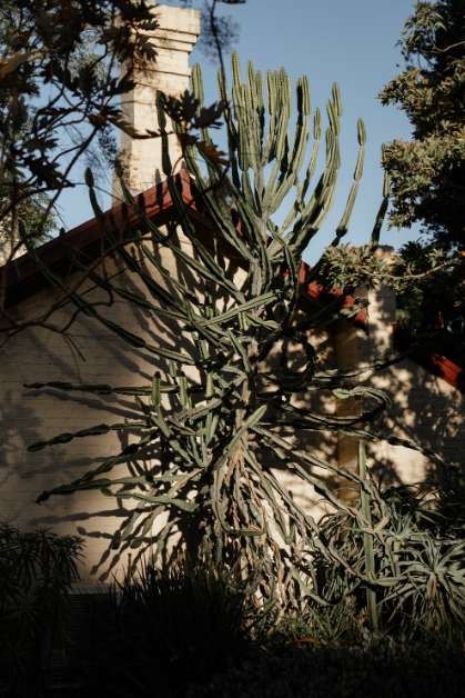 83242 garden house (80)