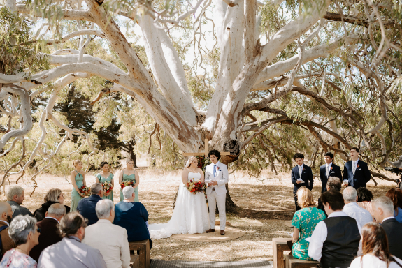 83253 rockleafarm (20)