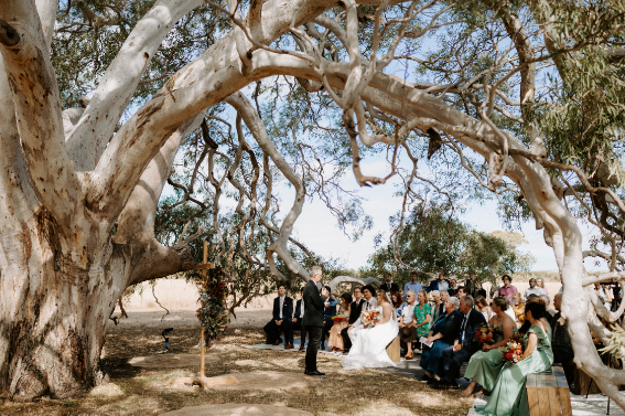 83253 rockleafarm (21)